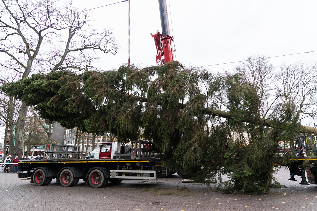 Grote Kerstboom Bestellen 2025 Elora Meaghan